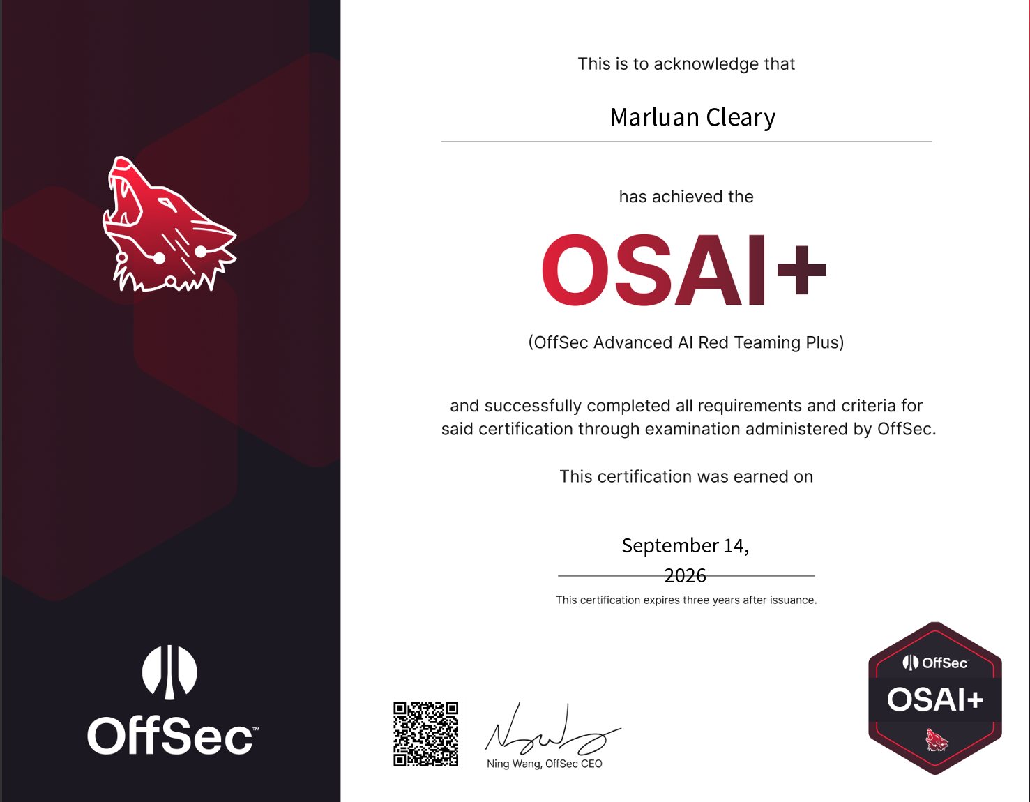 PIVOT! My OSAI Journey